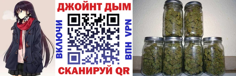 Конопля гибрид  Чегем 